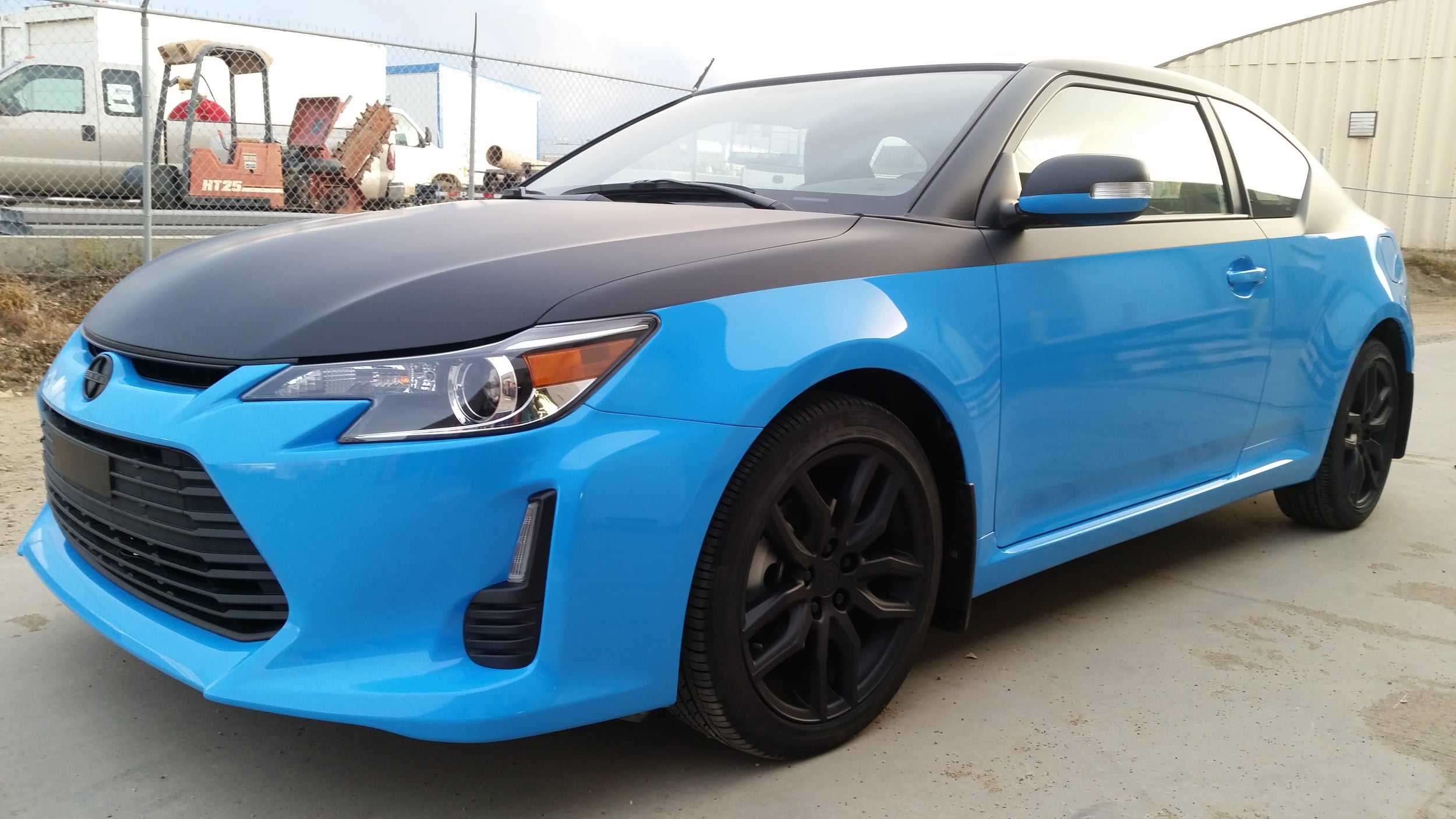 Scionphoto1.jpg