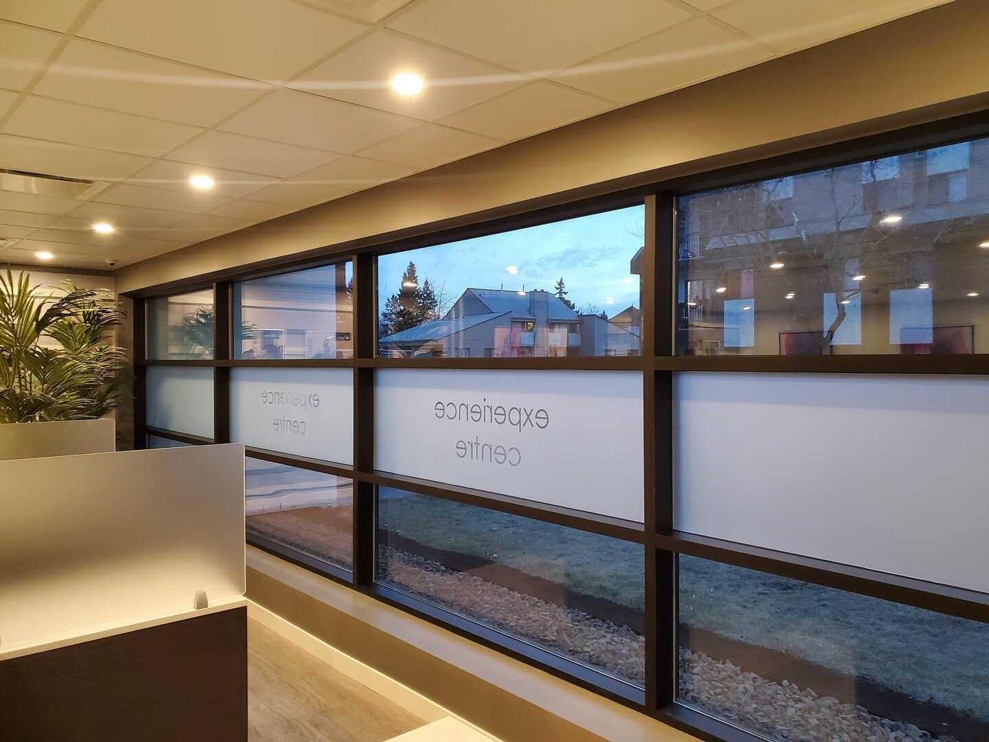 Window Frost Friday!⁠
⁠
#friday #windowcoverings #yegcommercial #boardwalkcommunities #boardwalk #rentedmonton #liveedmonton