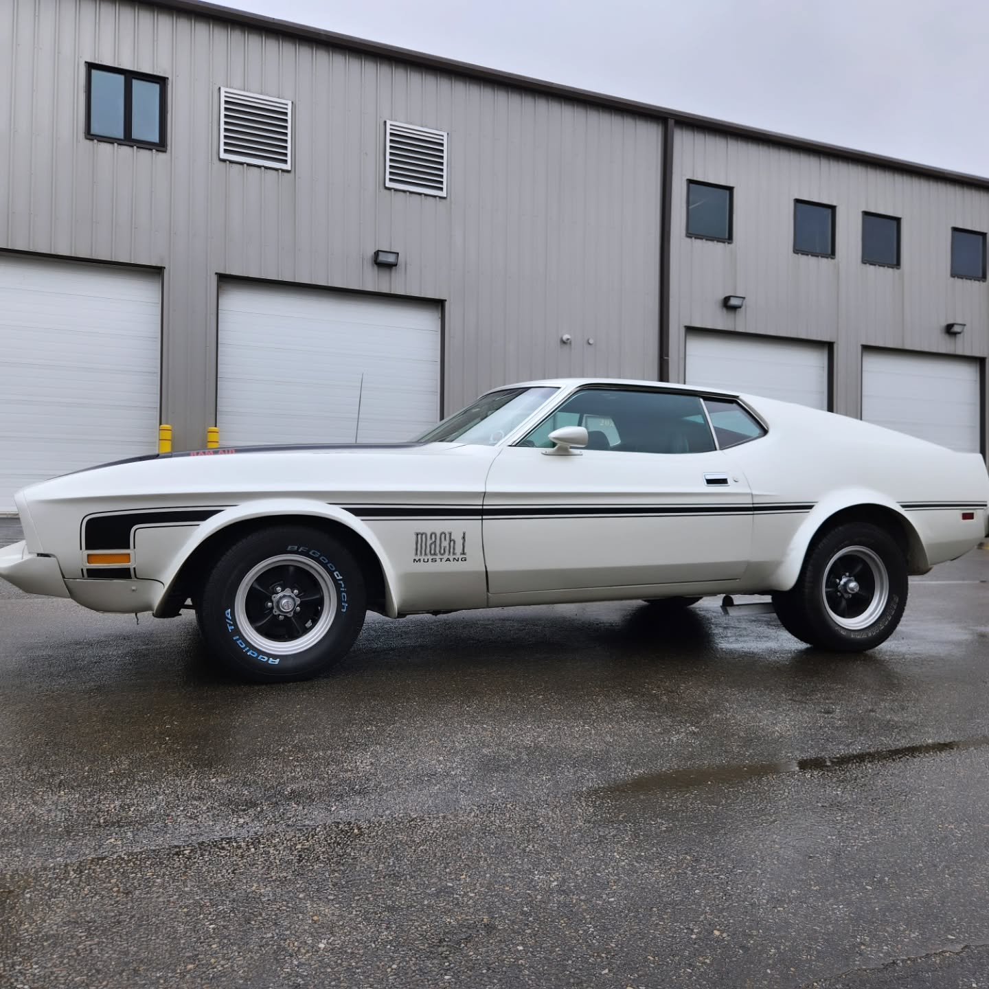 Full wrap and striping on this beauty Mustang. Satin Pearl white. #3m #vinylwrap #satinpearlwhite #campvinyl