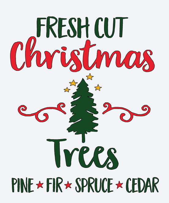 Fresh Cut Christmas Tree
