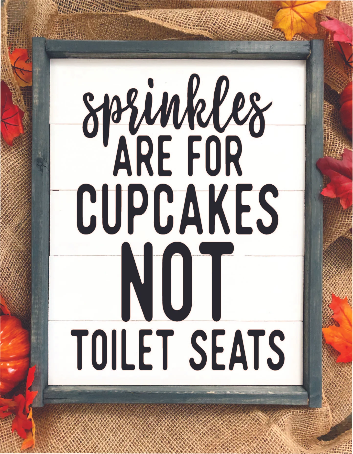 Sprinkles are for cupcakes.jpg