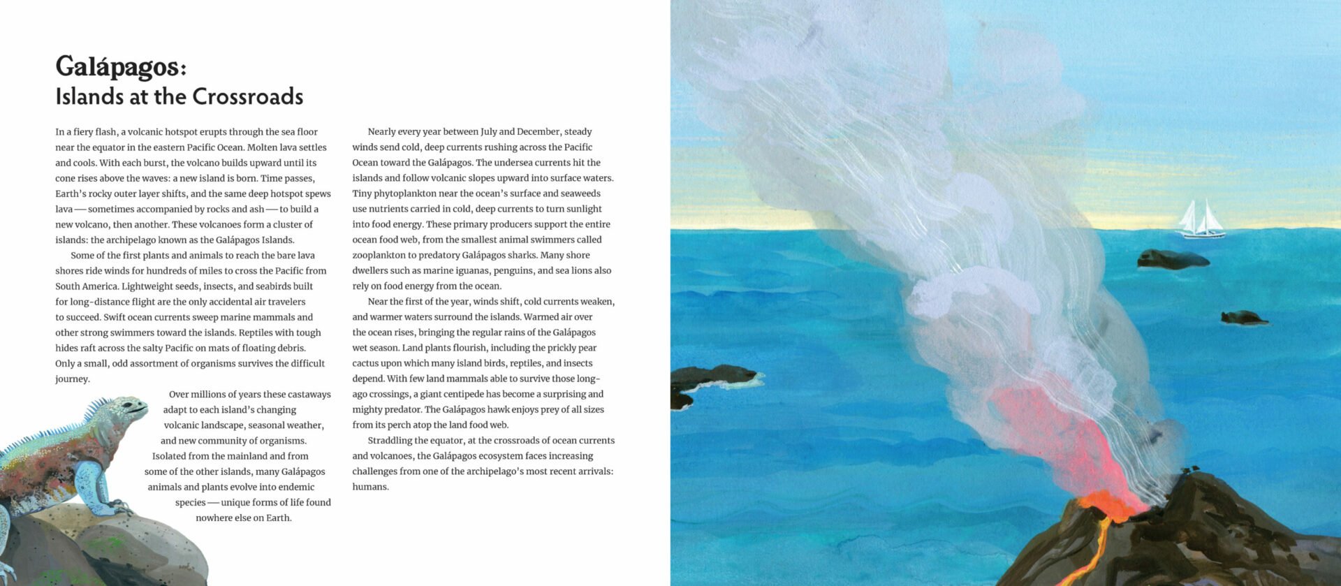 Galapagos-Spread-1-scaled.jpg