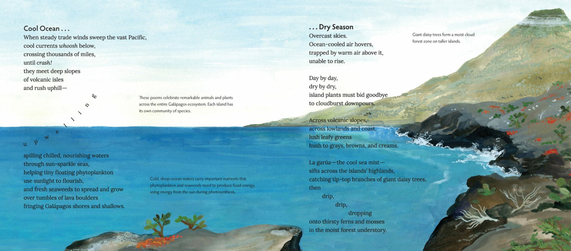 Galapagos-Spread-2-scaled.jpg