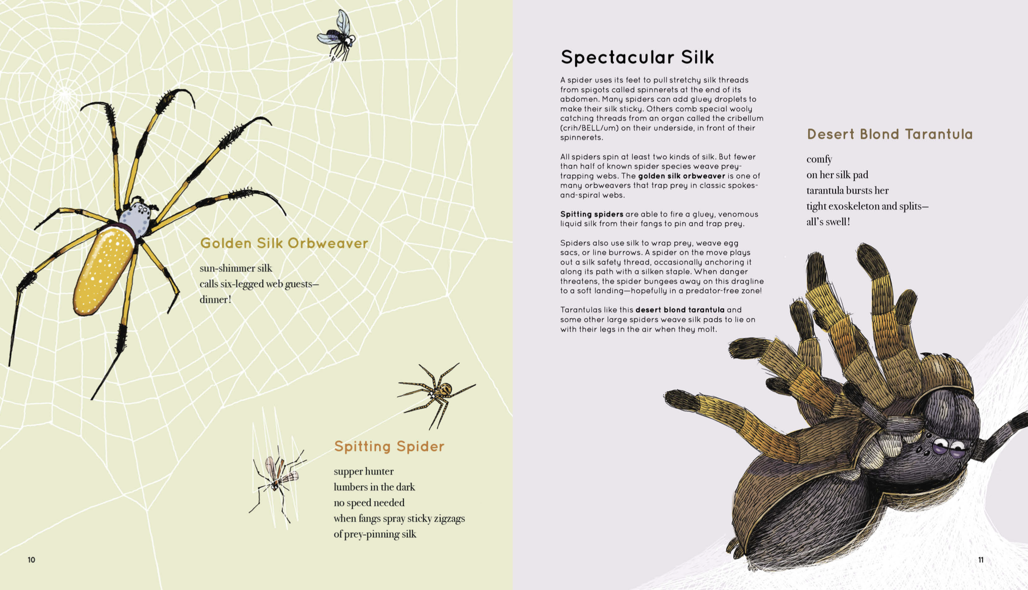 Screenshot 2026-03-14 at 10.51.27 PM.png