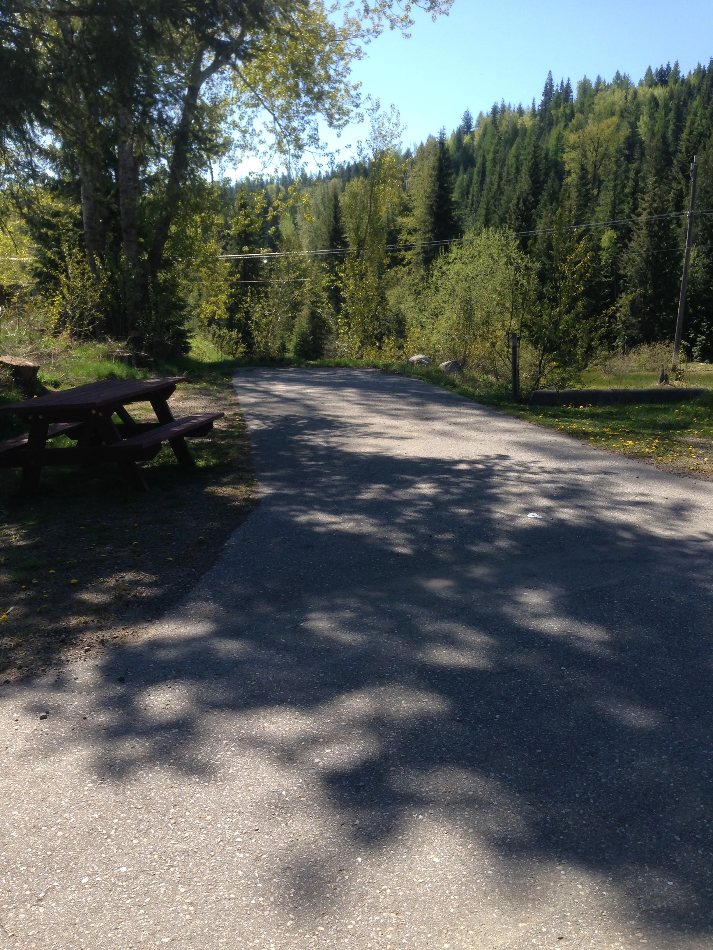 Site 4