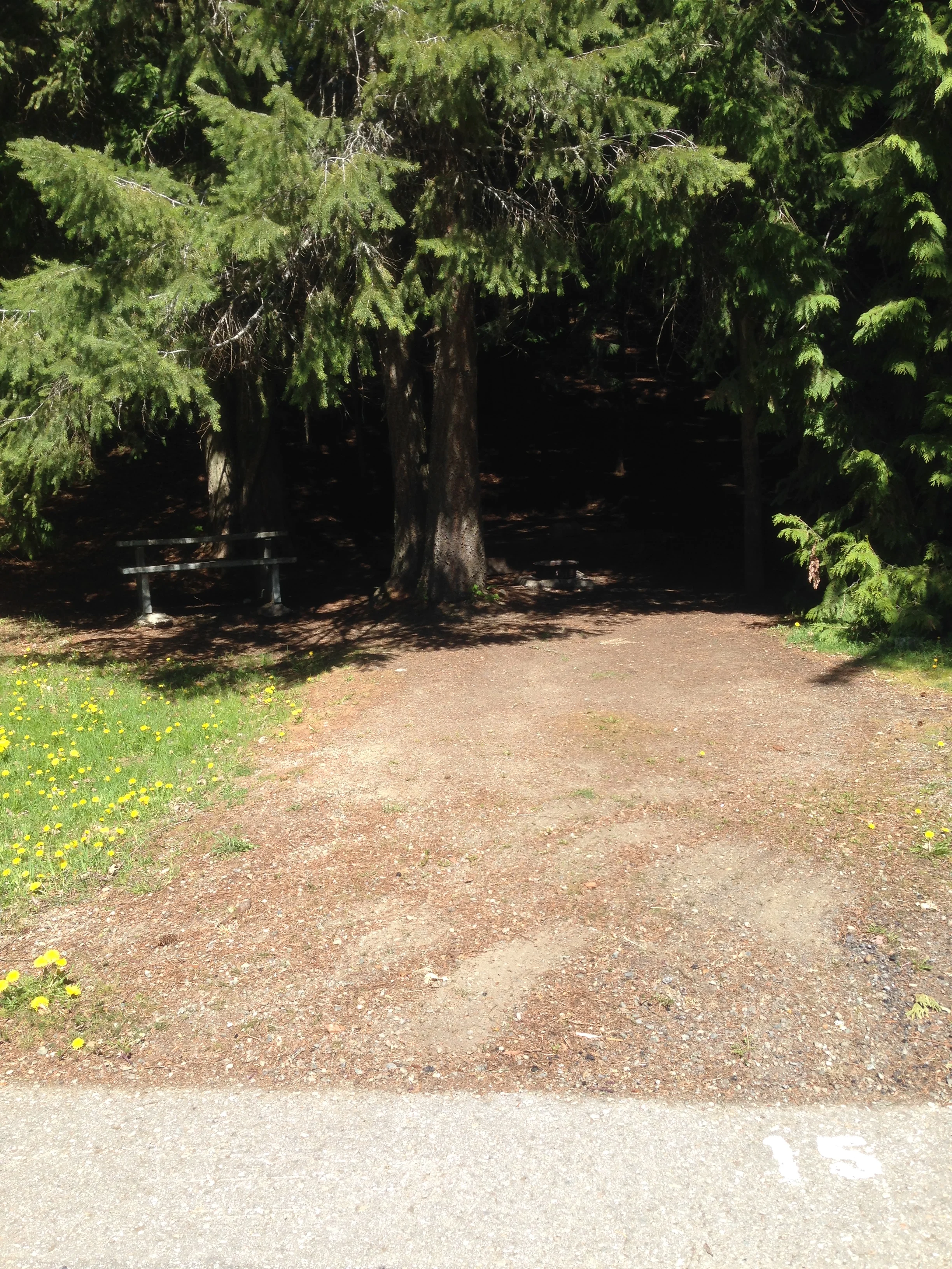 Site 15