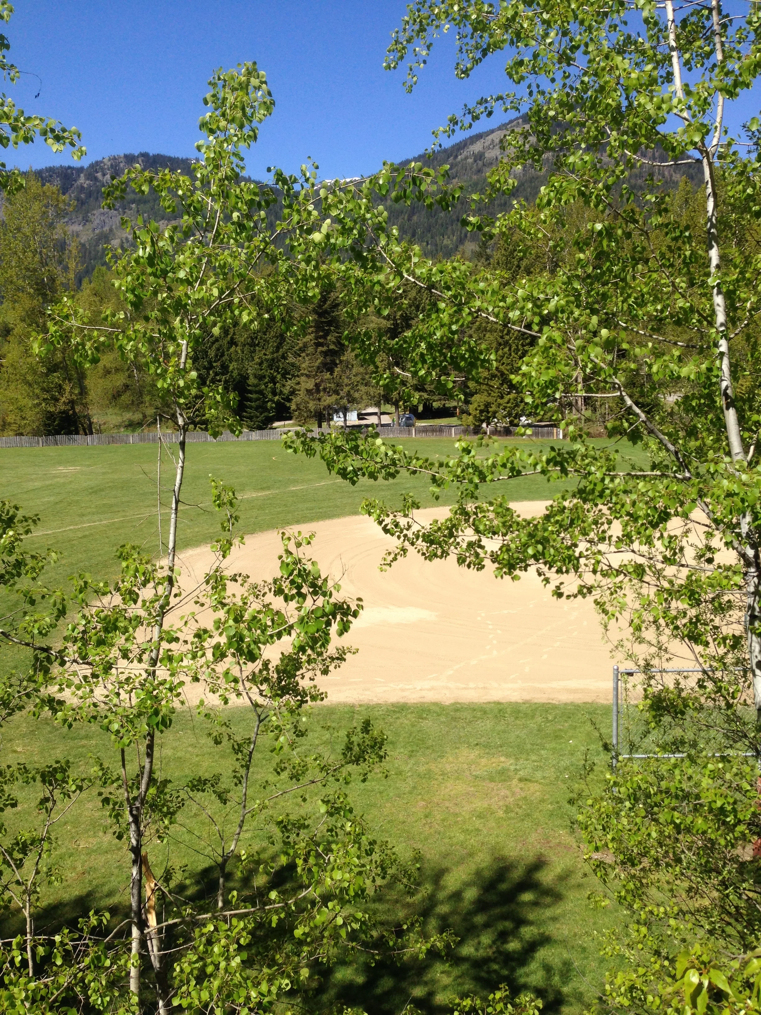 Centennial Field from Muesum Trail