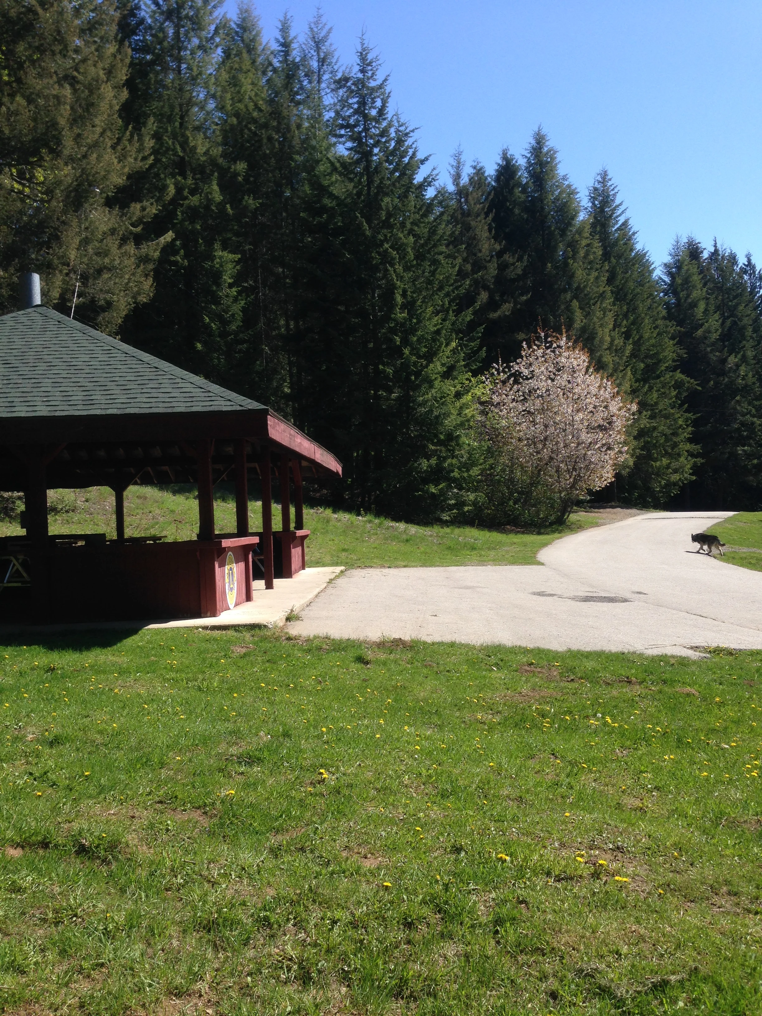 Gazebo