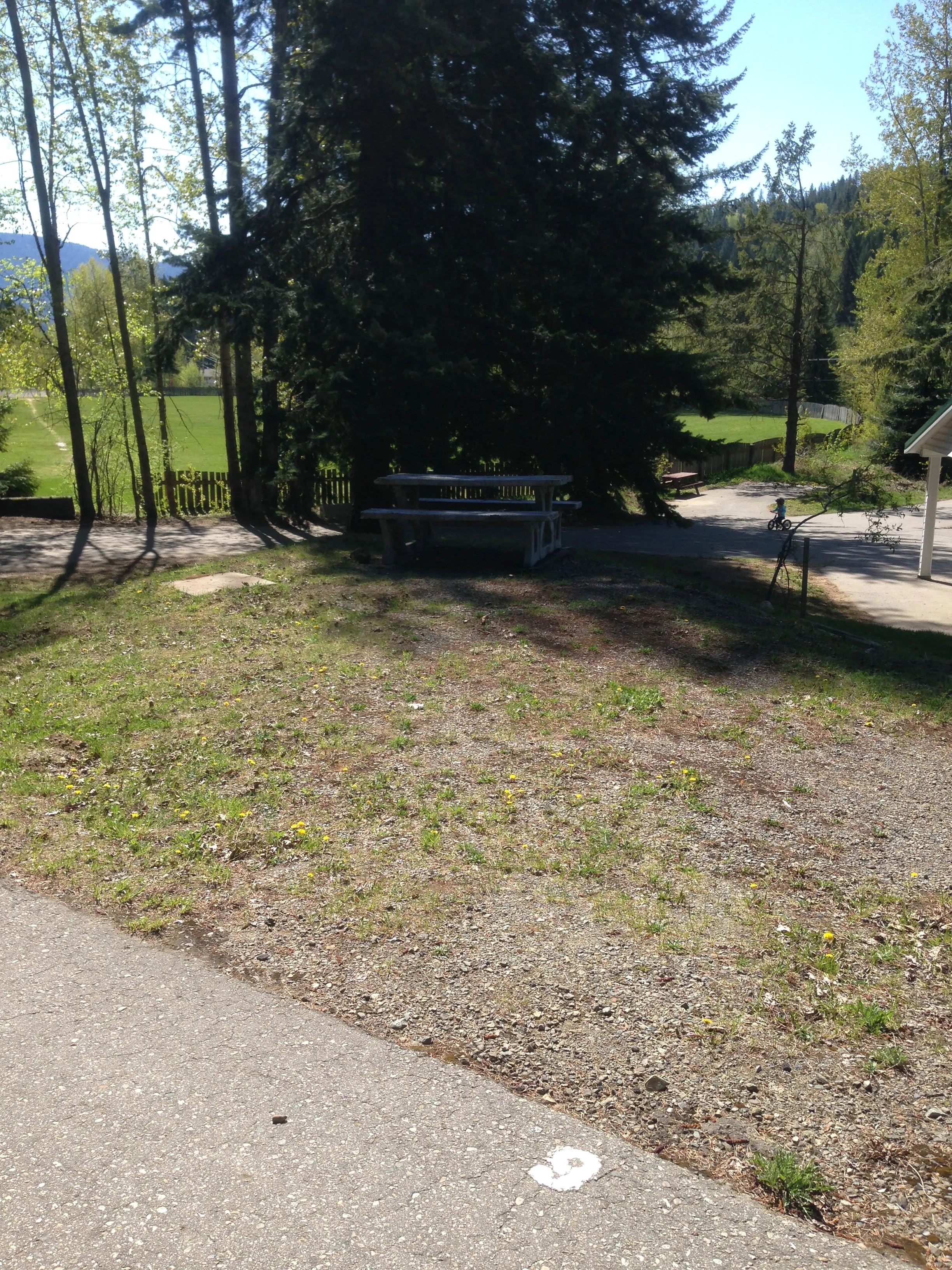 Site 9