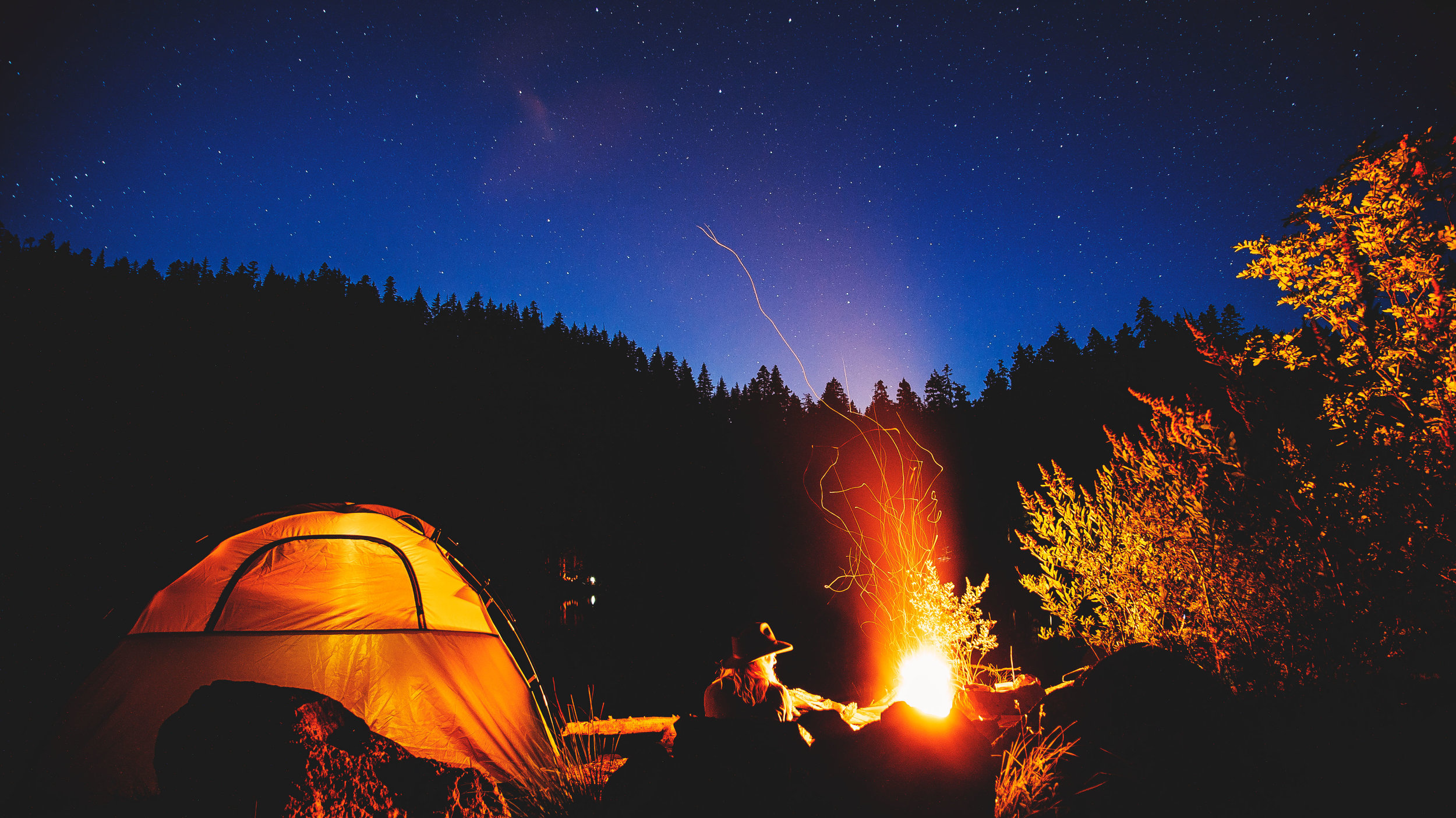 Campfireflies.jpg