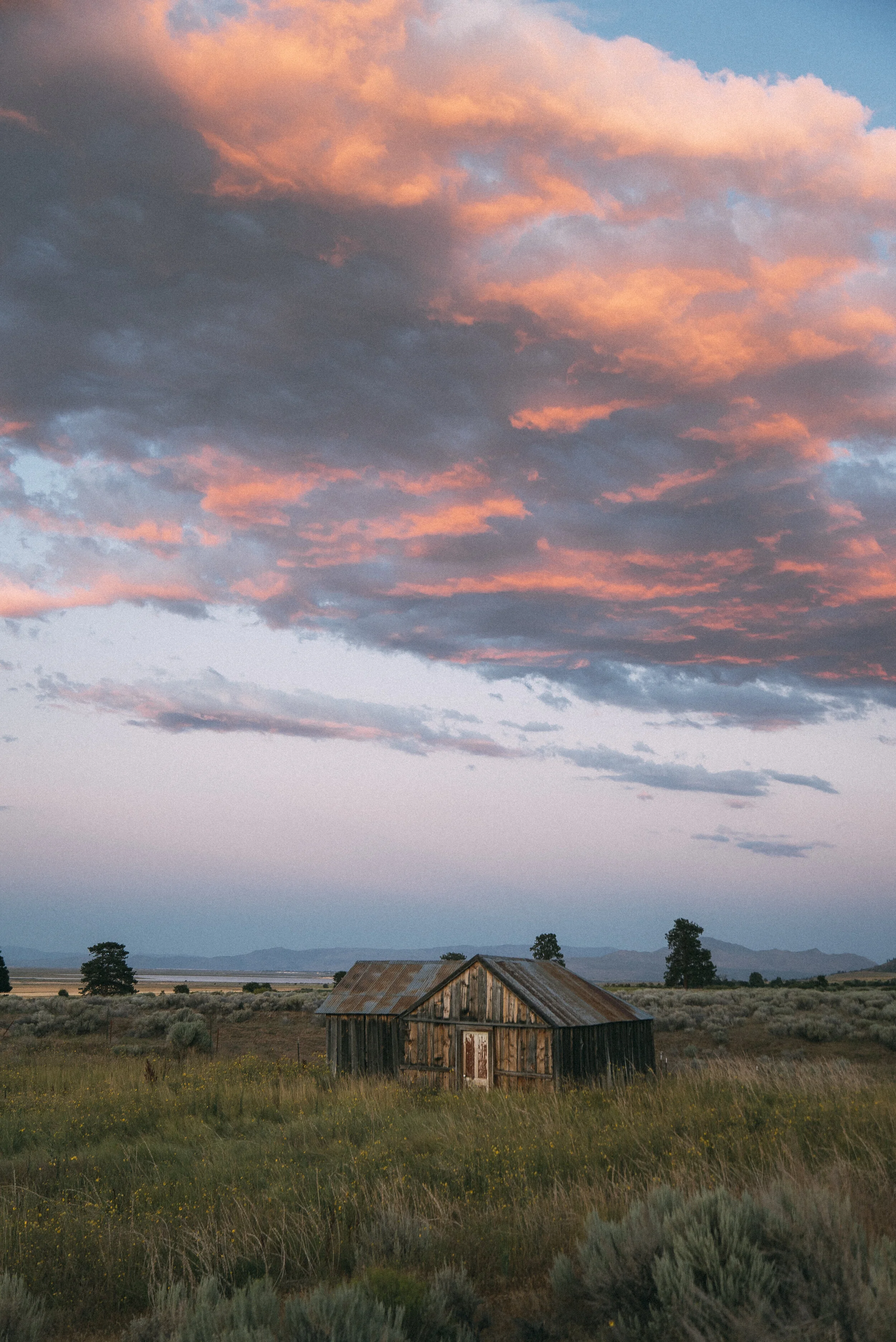 Cabin_Susanville_SpencerGentz.jpg