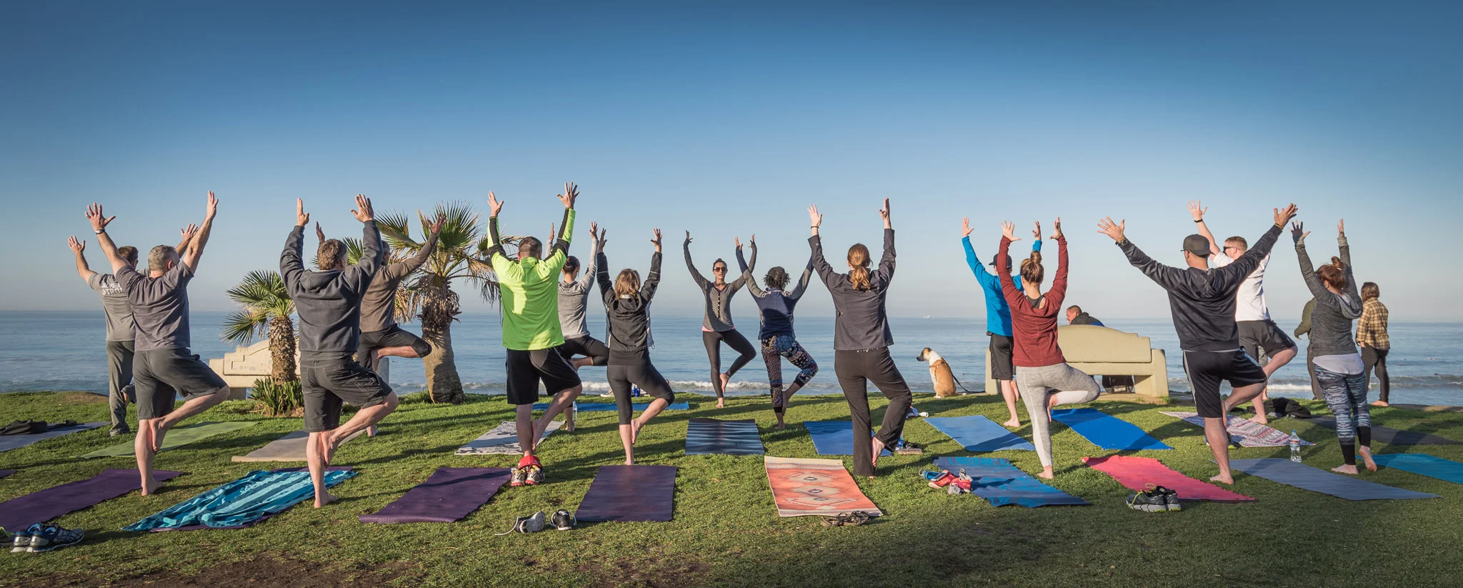 Law St Yoga.jpg