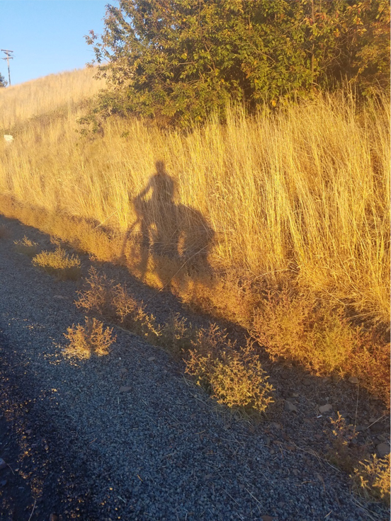 Playing with light.