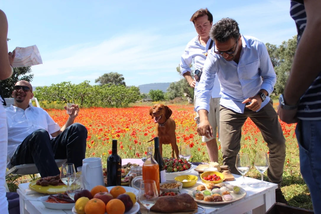 A dream come true--having a picnic, drinking wine, and dancing in a field of poppies!