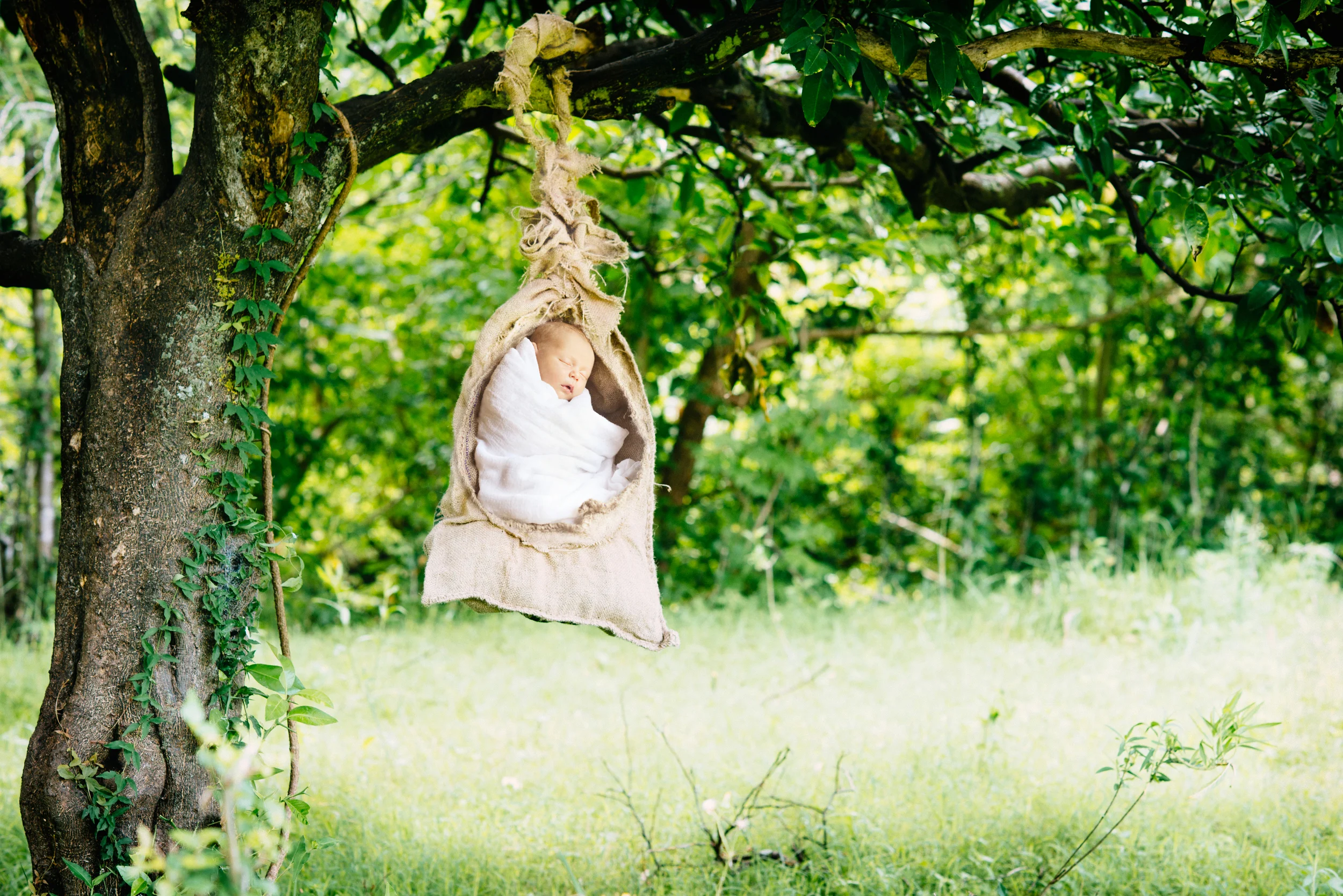 Sofia Newborn Photography