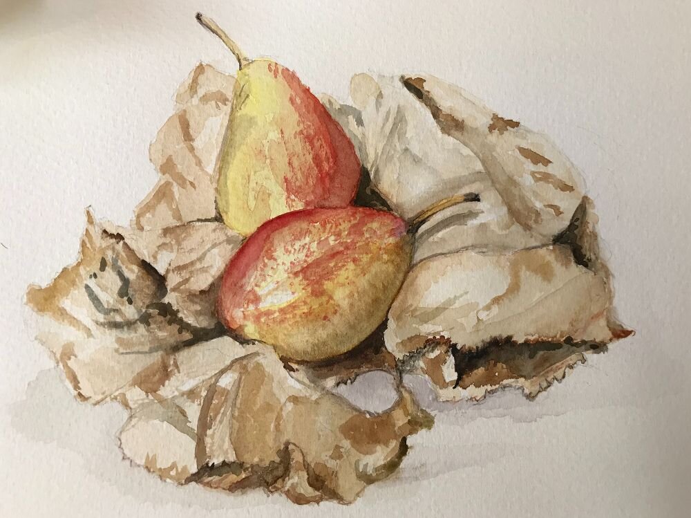 Pears-in-a-bag-watercolour-painting-with-texture.jpeg