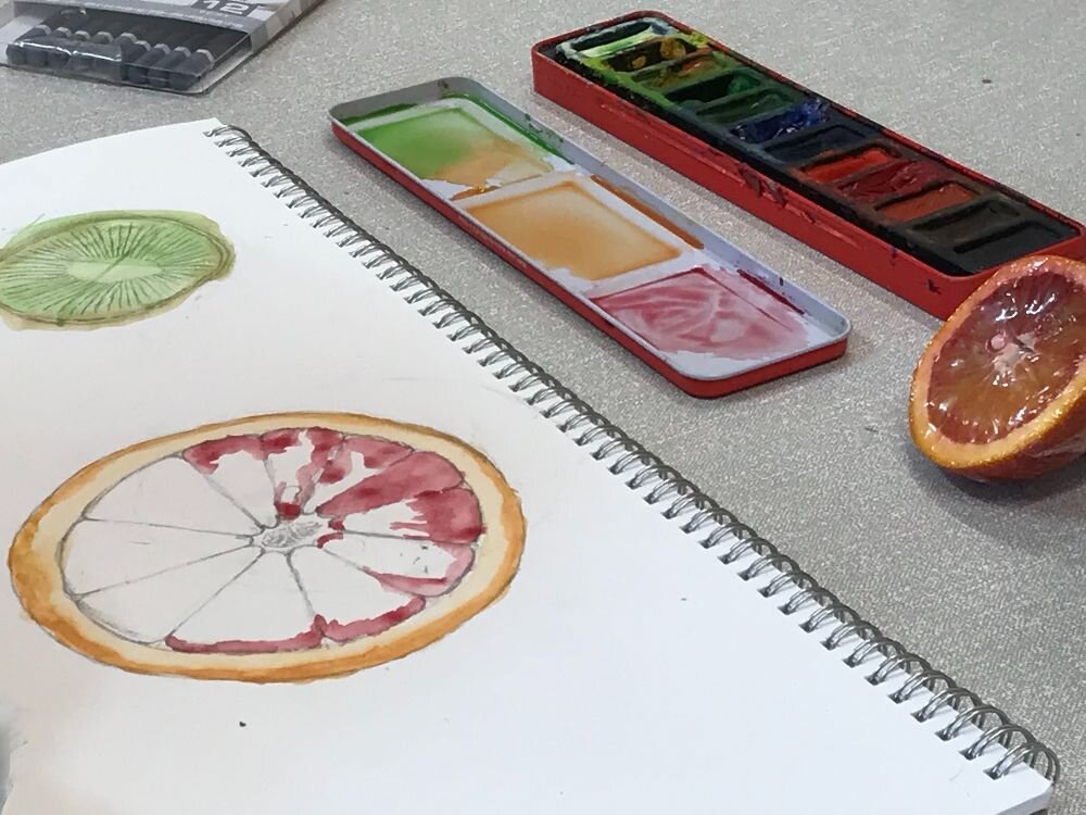 Watercolour-fruit-cross-sections-Art-For-Young-People-Jersey.jpeg