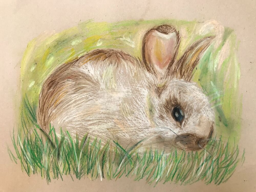 Rabbit-oil-pastels-Art-For-Young-People-Jersey.jpeg