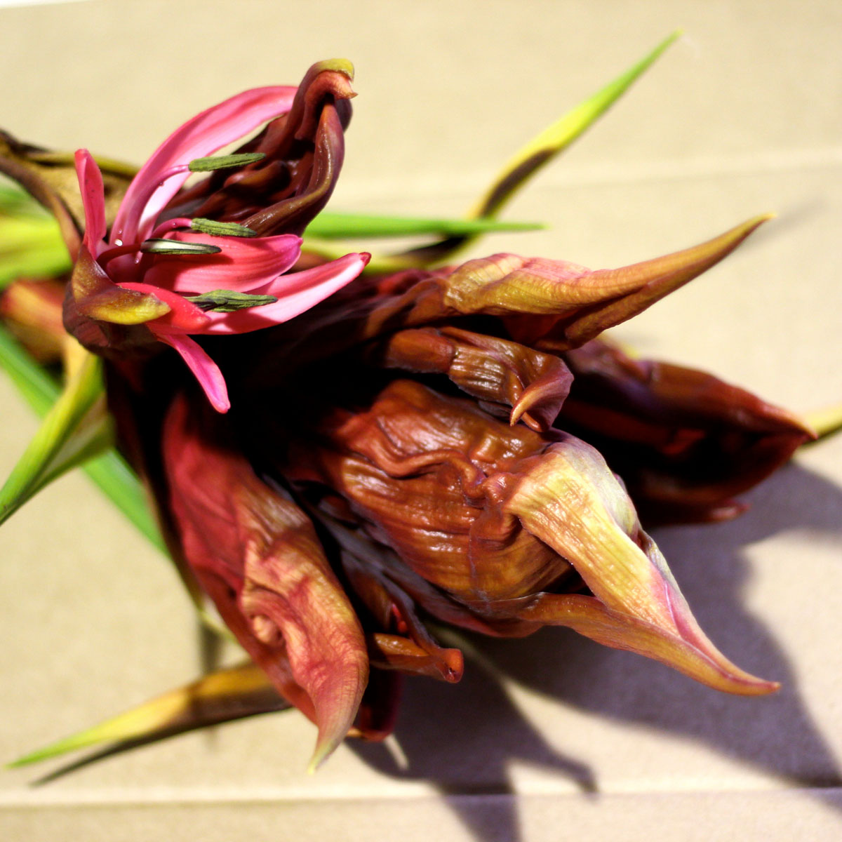 IMG_5971 - Version 2.jpg