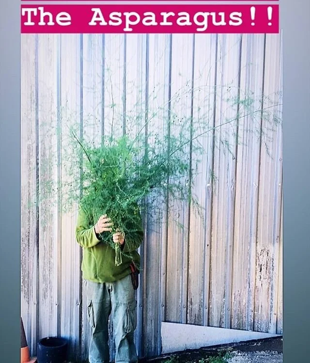 Wanted to do one of those hiding behind the bunch pics.