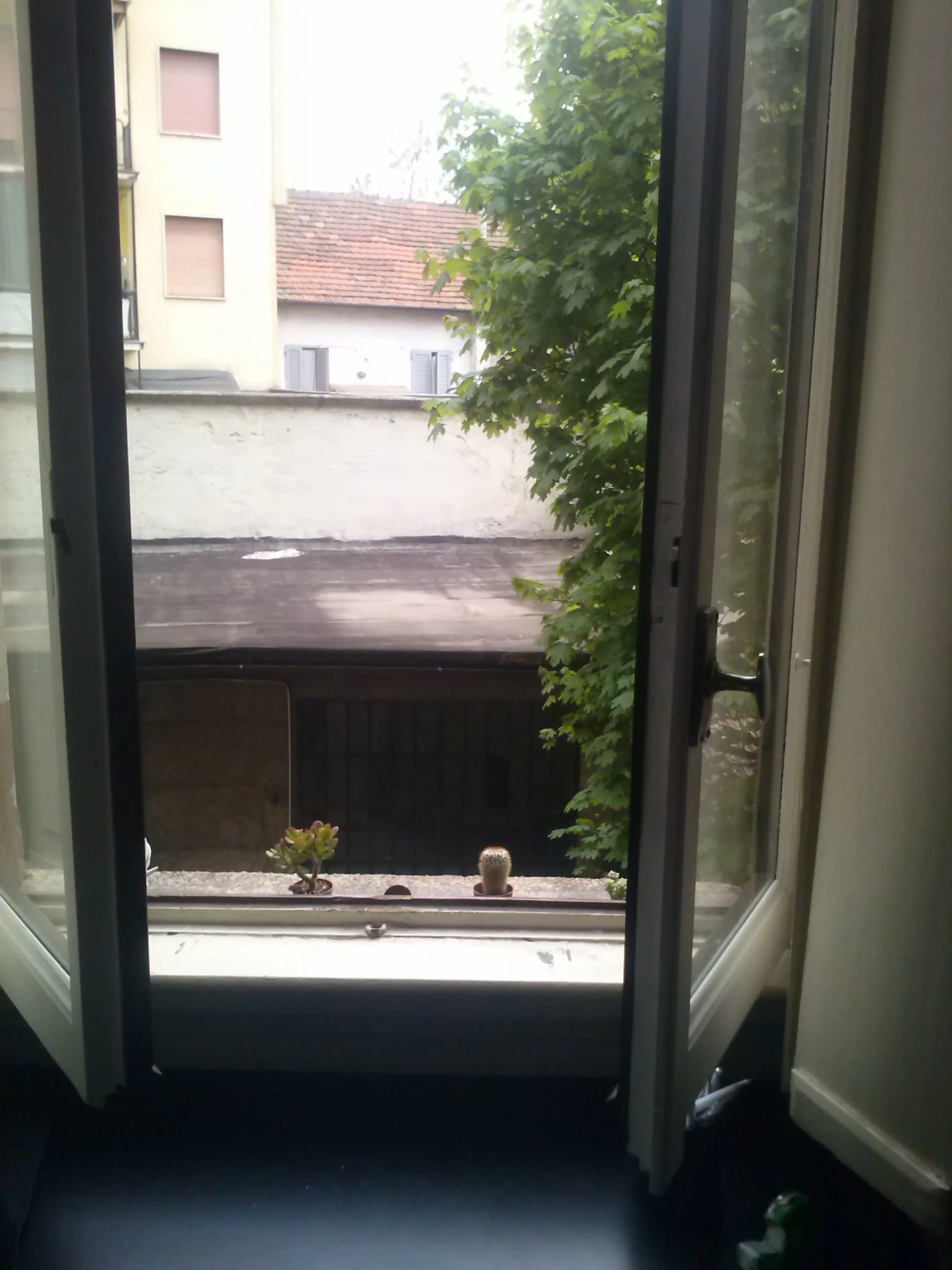 CAM03111.jpg