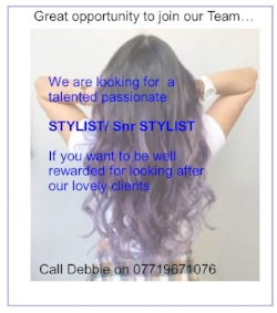 stylist advert.jpg