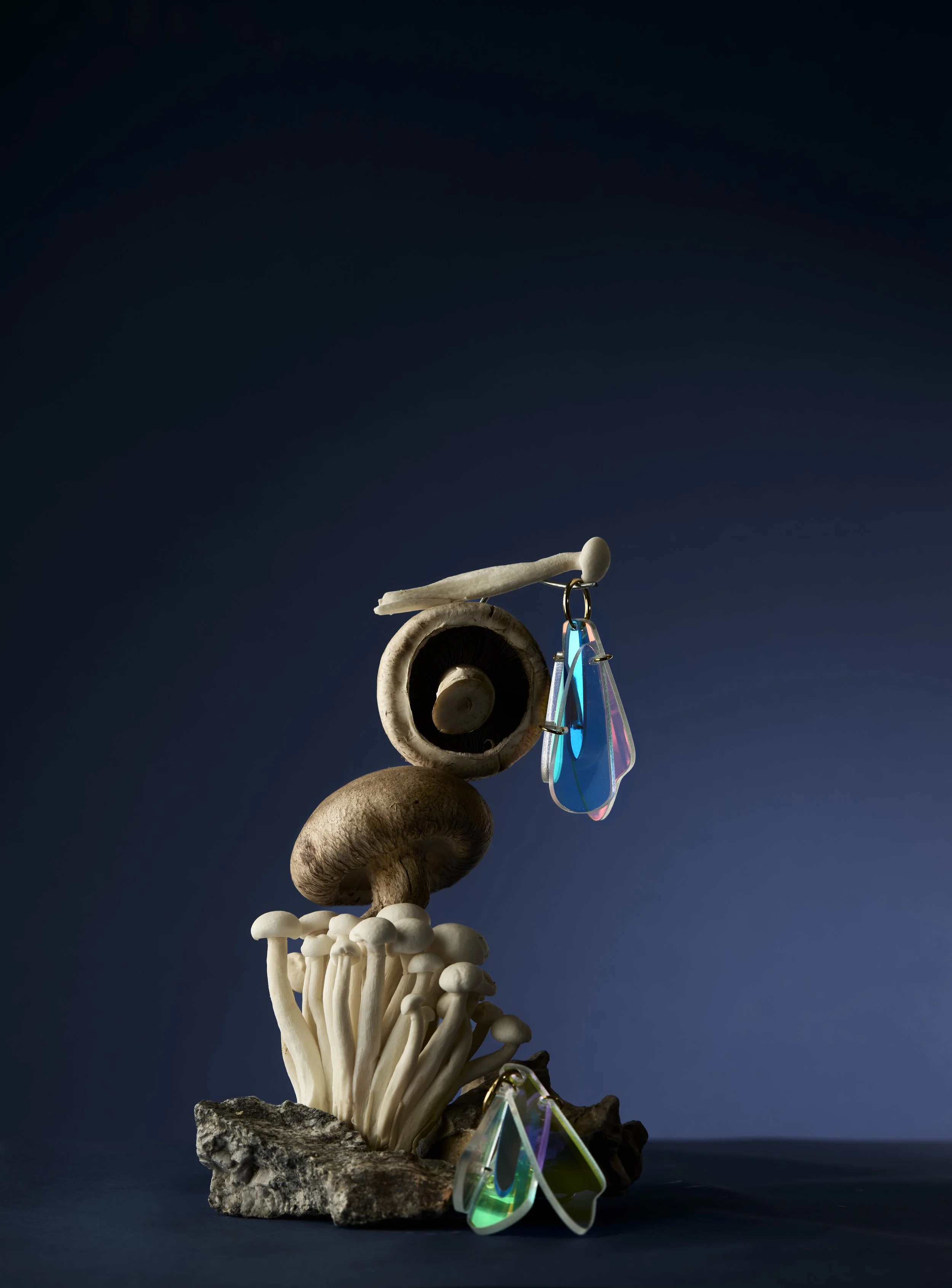 PapirogaFungiBodegon8567 copy.jpg