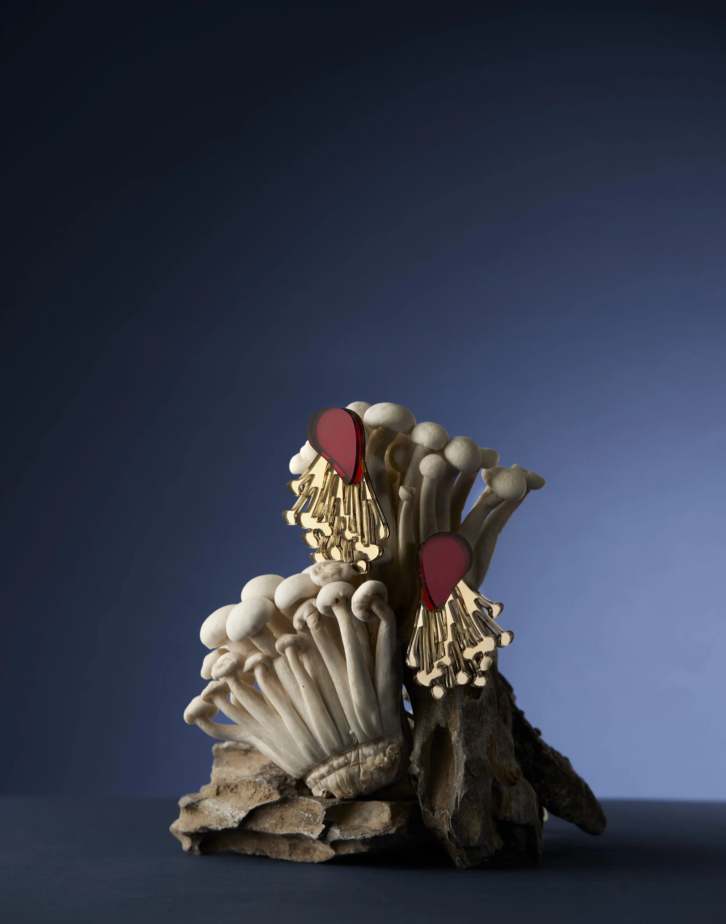 PapirogaFungiBodegon8555 copy 2.jpg