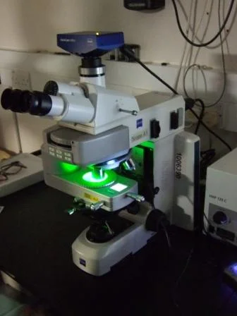 Cryo-fluorescence microscopy of the cells performed using the Linkam CMS196 stage