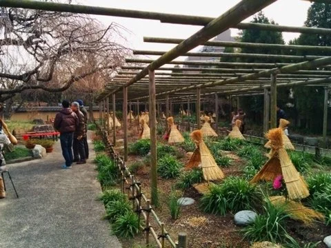 A Japanese flower garden in Fukuoka.