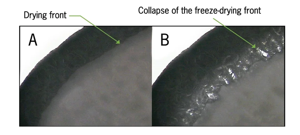 Herrera et al. figure 1, freeze-drying of antivenoms