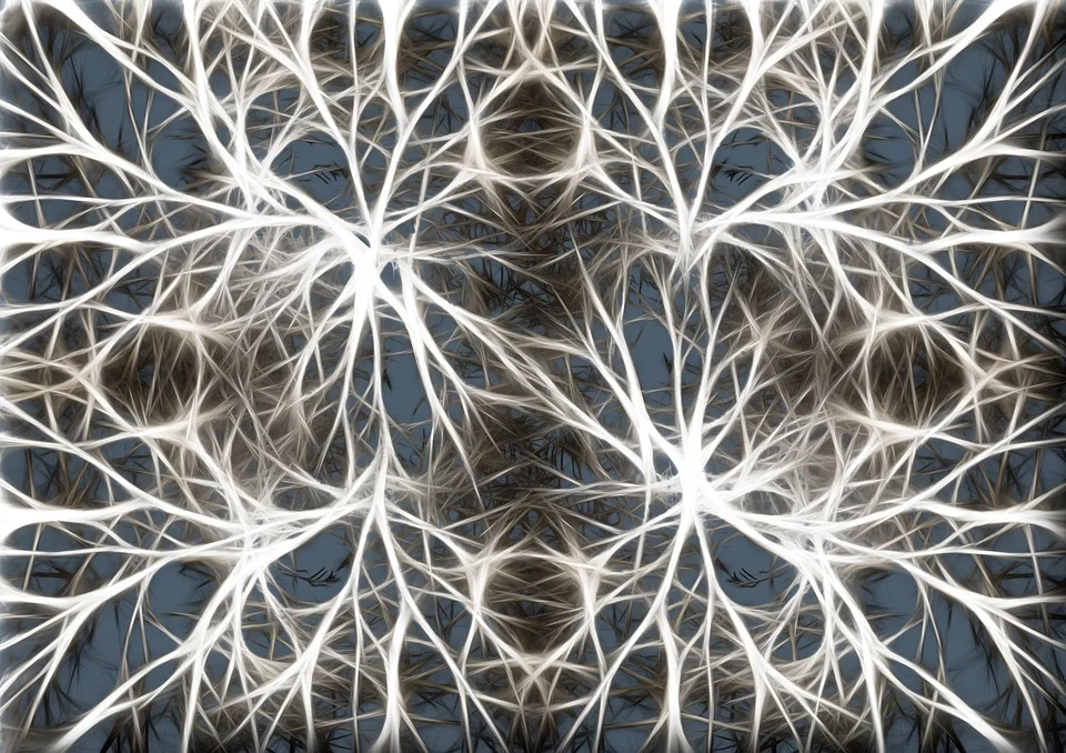 The synergistic relationship between actin and microtubules plays a crucial role in neuronal maturation. 