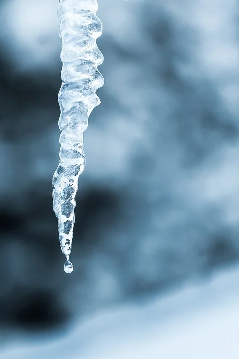 Cryopreservation is widely used to store cells for transplantation.