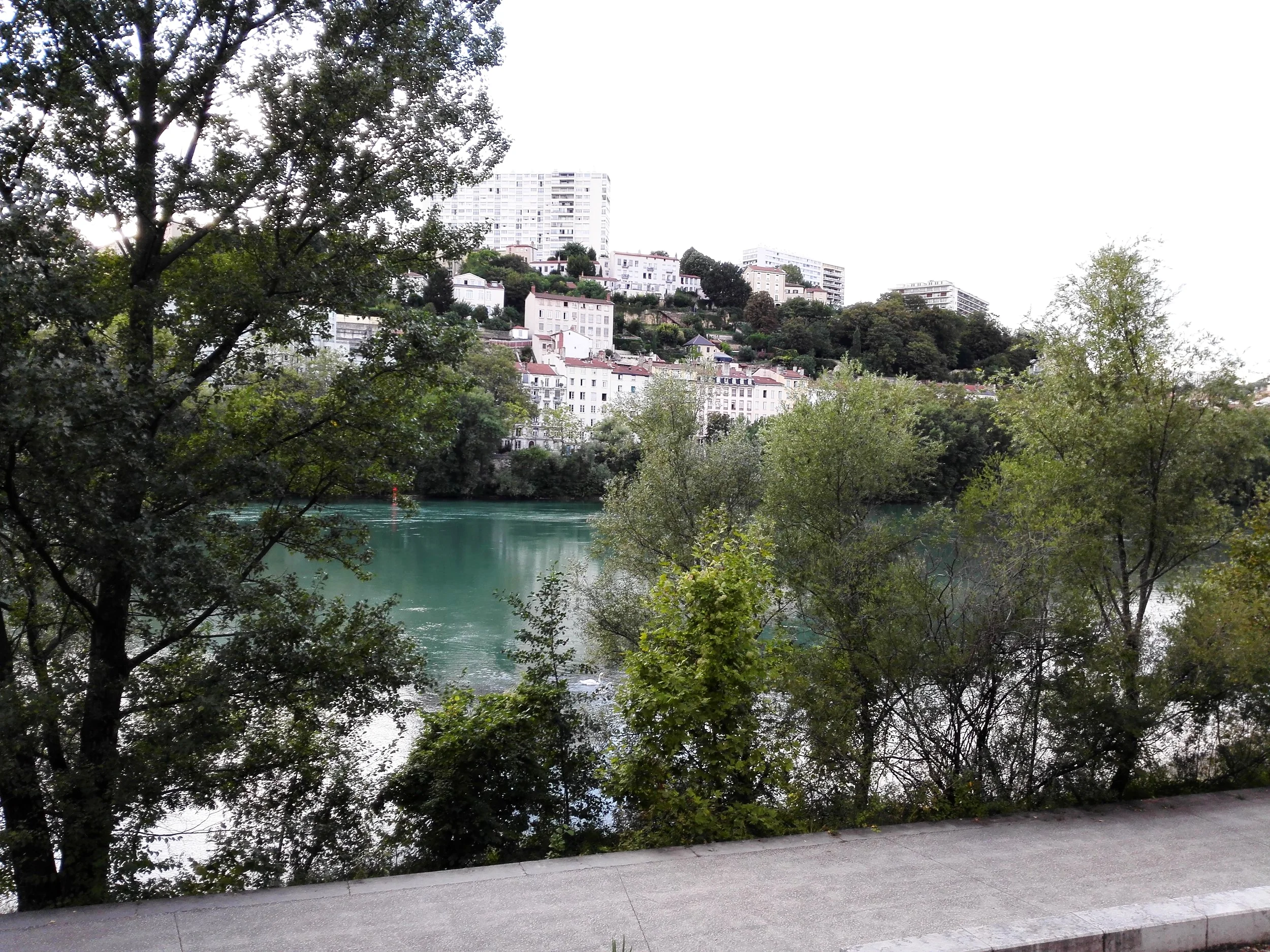The River Rhone, one of the major rivers in Europe and a beautiful feature of life in Lyon - the location for this year’s European Microscopy Congress. 