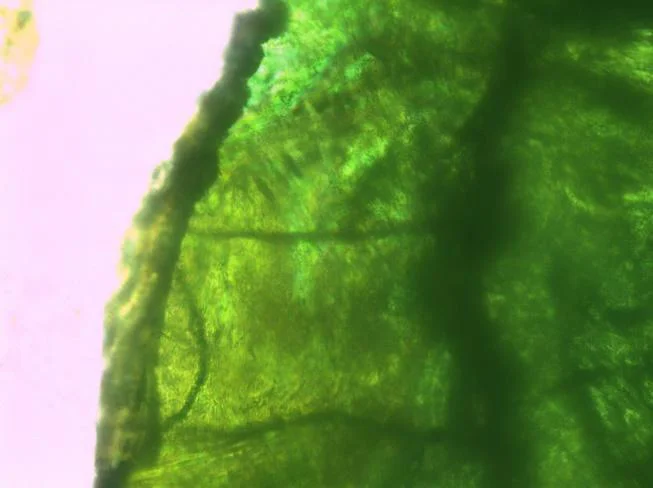 Sample of (DEA) 2 CuCl 4 cooled to room temperature, returning to the original green colour. 