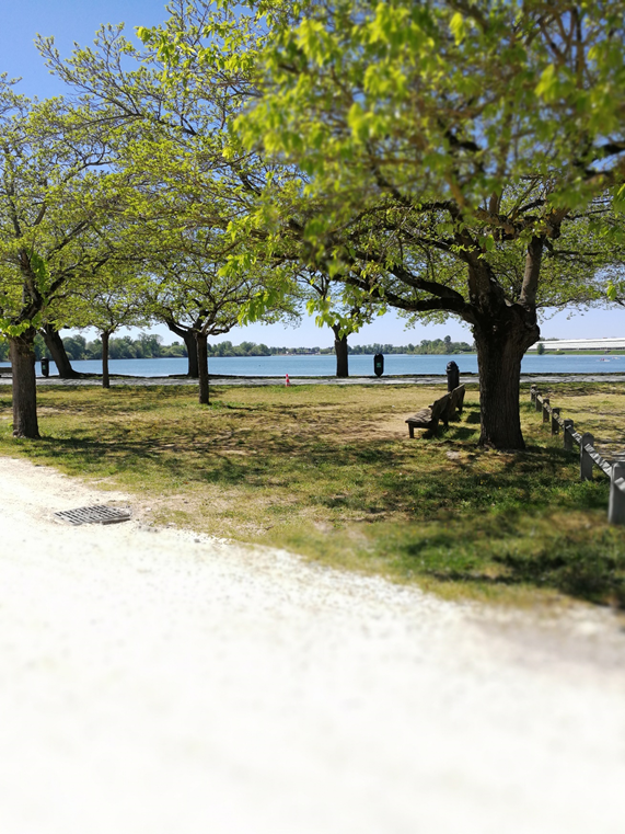 A great relaxing spot just outside the Palais des Congrès de Bordeaux where this year’s FOM was held.