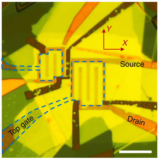 An optical image of black phosporus mid-IR photodetector. 