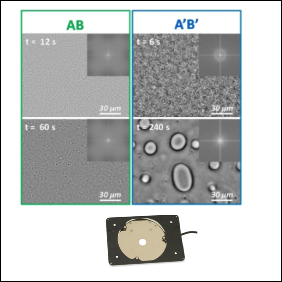 Inverted Microscopy