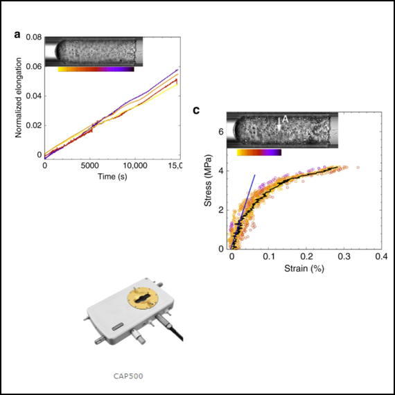 Capillary Analysis