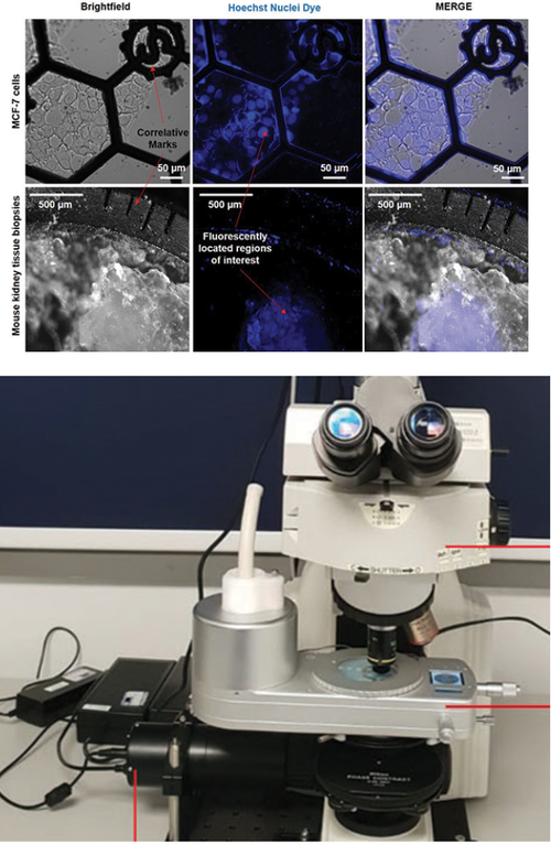 Scientific Papers — Linkam Scientific Scientific Papers — Linkam Scientific