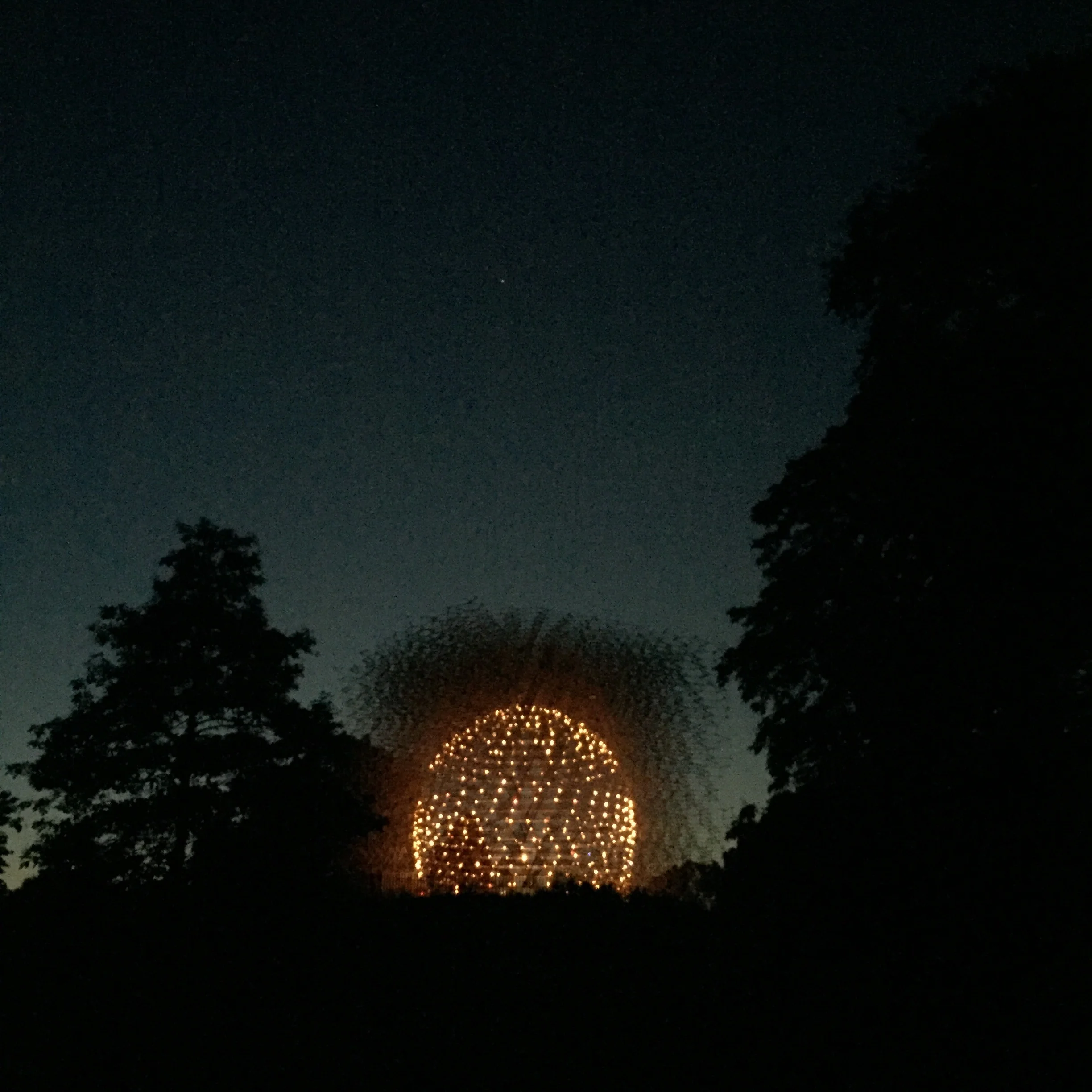 IMG_5080.jpeg