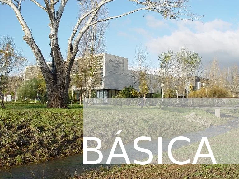 soc-basica.jpg