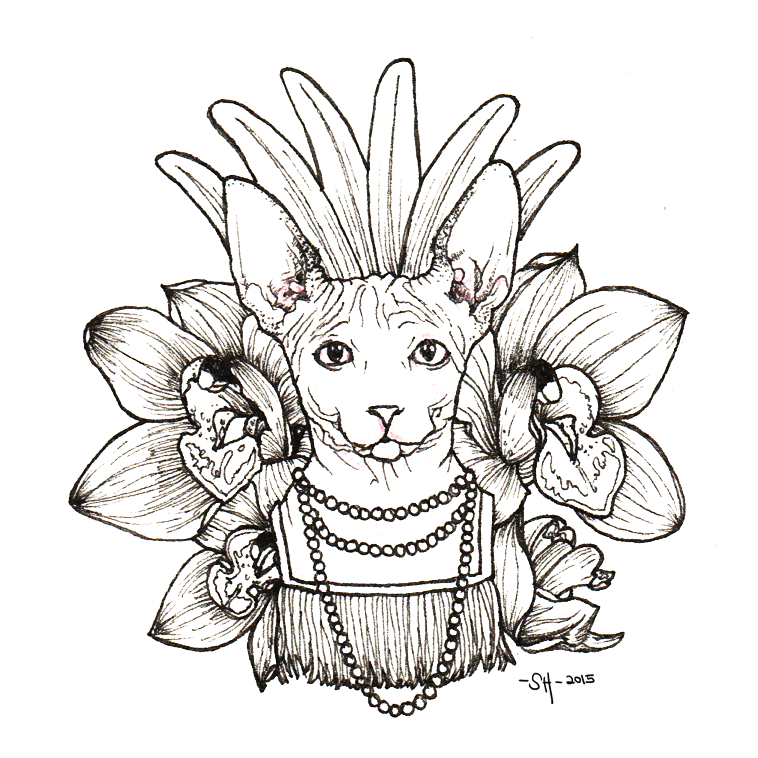 Orchid Sphinx