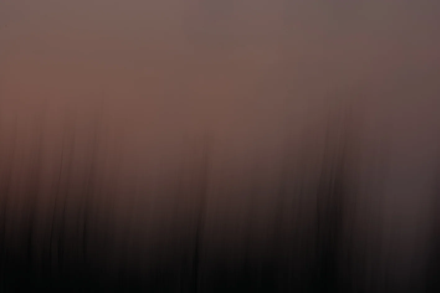 study in mauve no1
