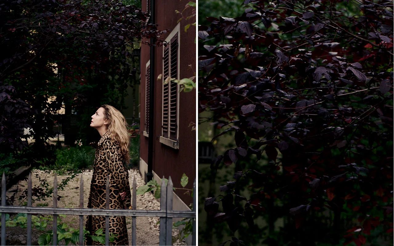 the_muse_2013_jaguar_web_800_.jpg