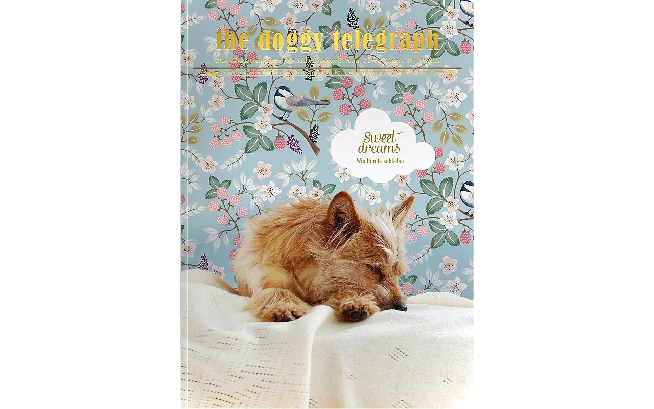 TC_Cover_0122_web_800.jpg