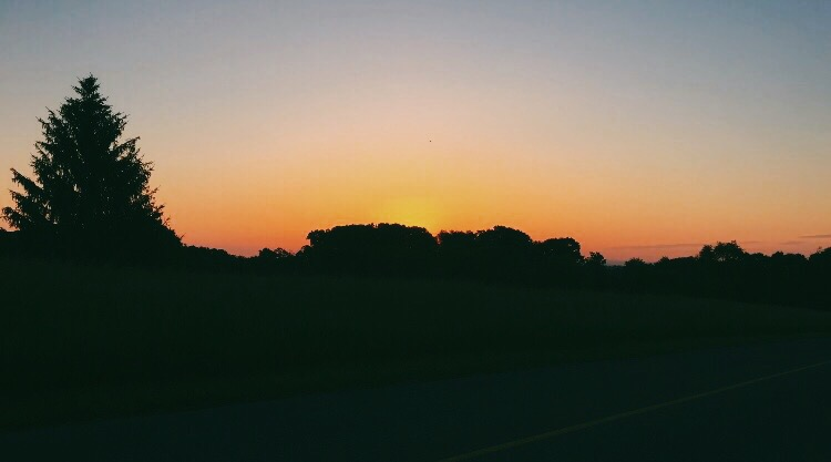 Screen Shot 2016-06-06 at 7.34.56 AM.png