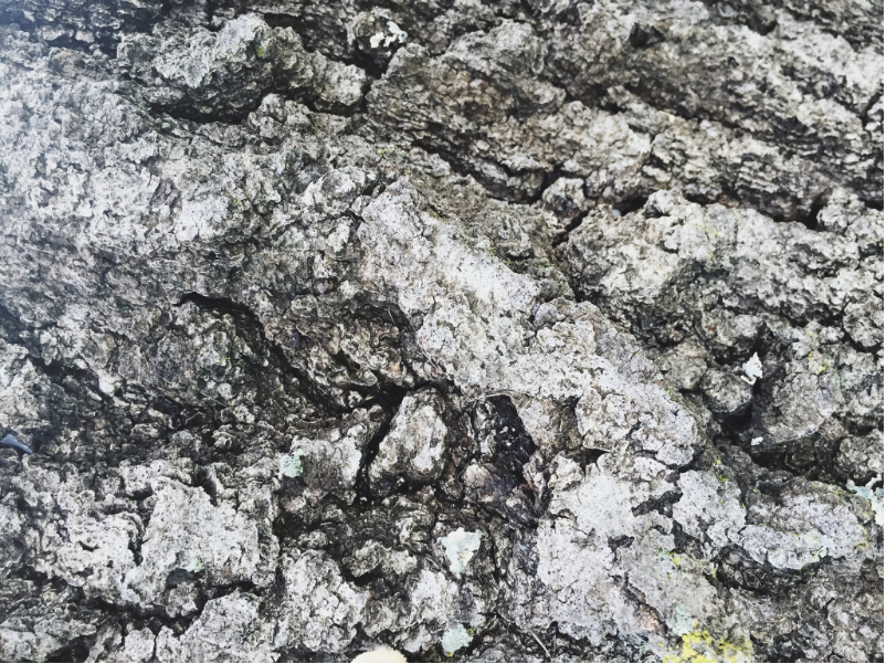 Screen Shot 2016-06-06 at 7.34.40 AM.png