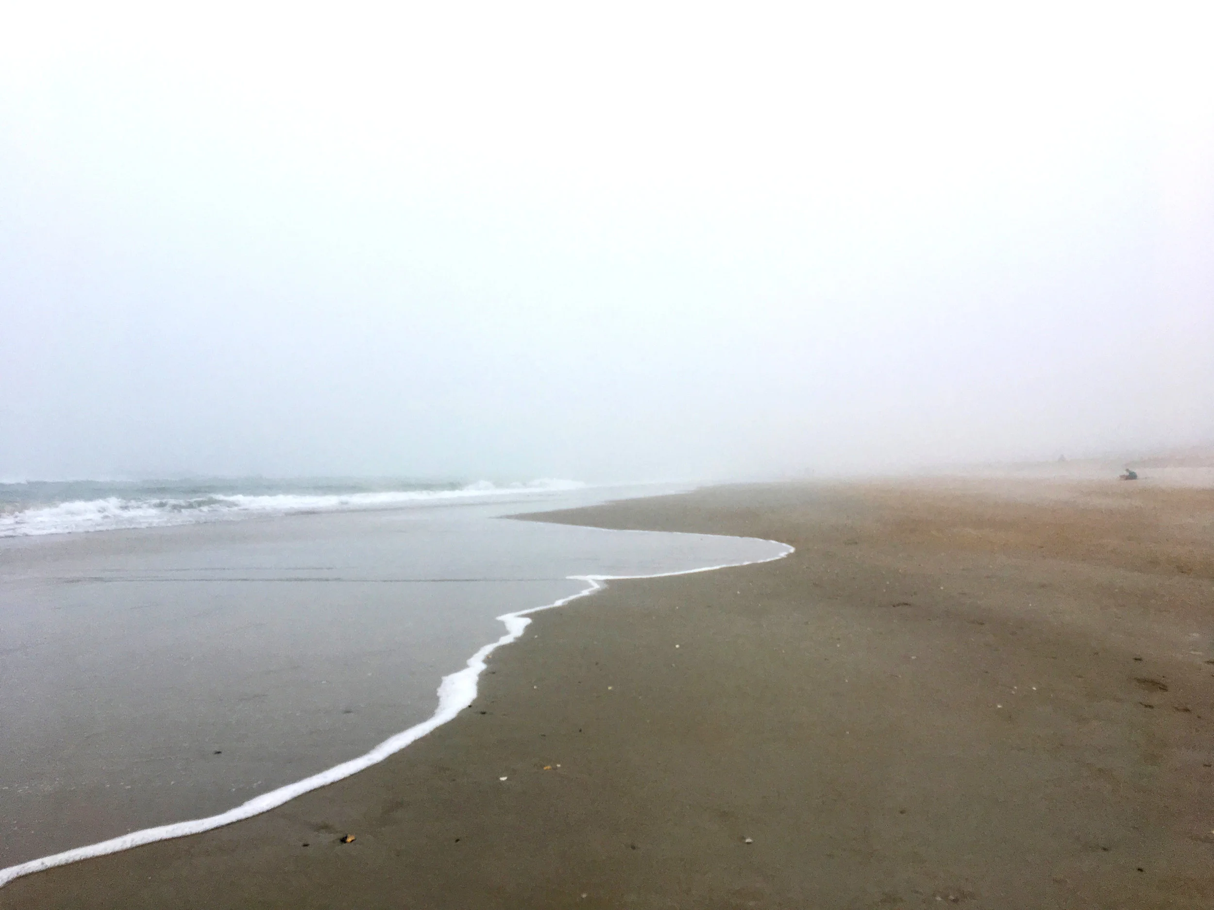 IMG_8075.jpg