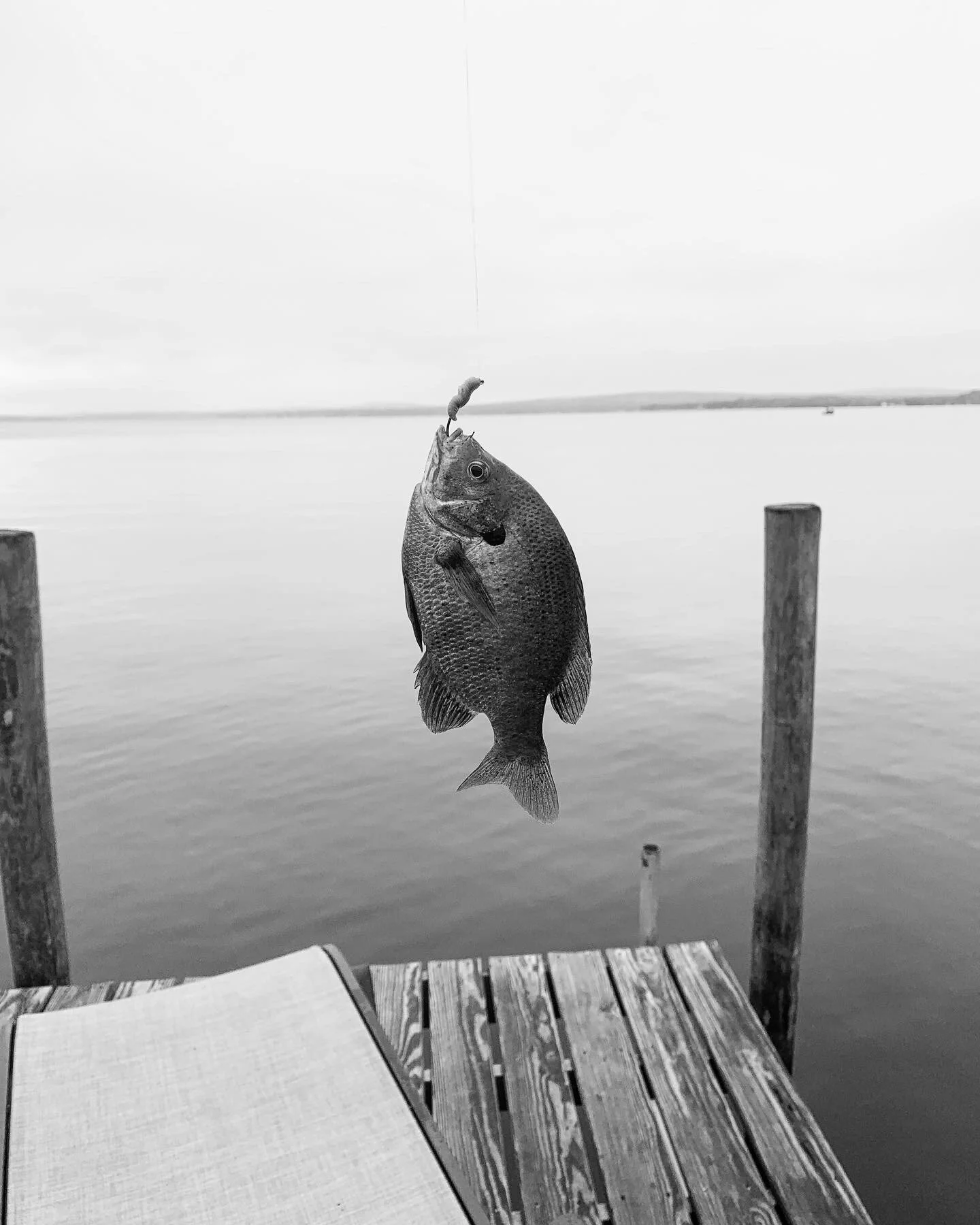 D025B78C-C153-4962-89B4-399FA157AE20 2.JPG